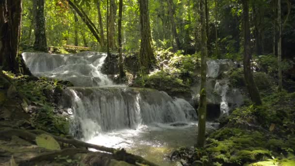 Beleza Pequena Cachoeira Que Flui Através Rocha Entre Vegetação Folhagem — Vídeo de Stock