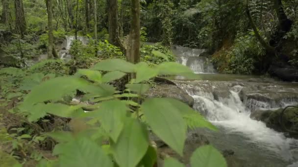 Сцены Стремительного Течения Воды Скалам Среди Пышной Листвы Тропических Лесах — стоковое видео