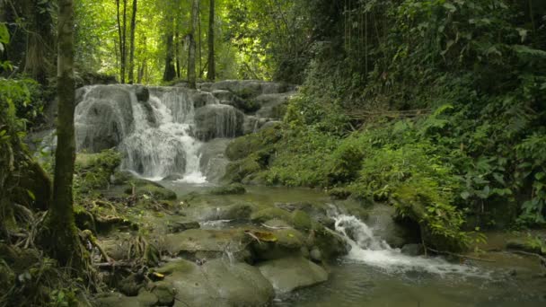 Cachoeira Escondida Flui Através Rocha Entre Plantas Exuberantes Folhagem Floresta — Vídeo de Stock