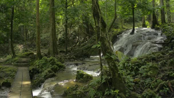 Krásná Scenérie Lesoparku Nang Manora Vodopádem Protékajícím Skálou Mezi Bujnými — Stock video
