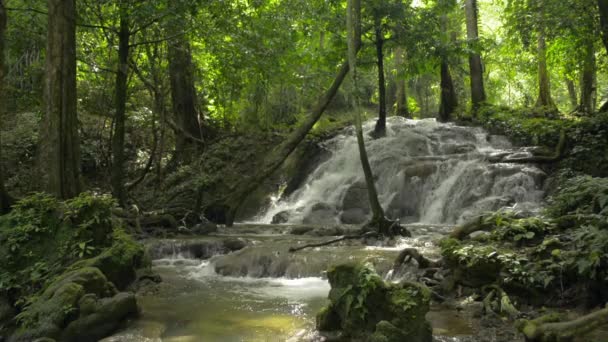 Vízesés Szépsége Zöld Erdőben Rejtőzik Esős Évszakban Édesvíz Gyorsan Áramlik — Stock videók