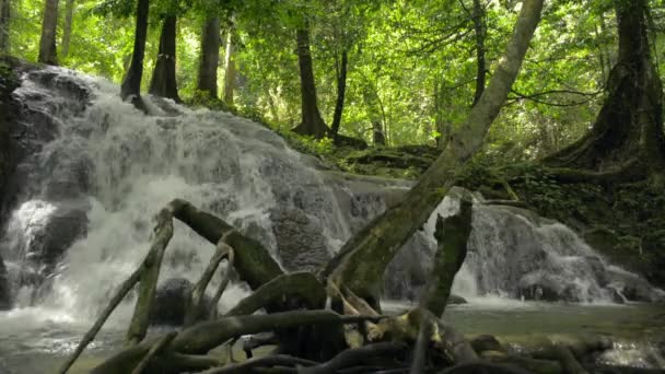 Maravilhosa Cascata Com Água Rápida Flui Sobre Rocha Entre Plantas — Vídeo de Stock