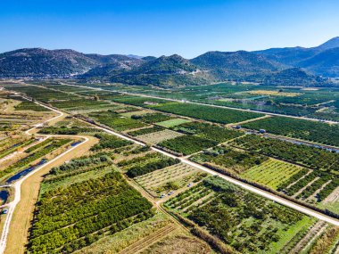 Hırvatistan 'ın güneyindeki verimli Neretva Vadisi' nin hava panoramik manzarası sulak bahçeler, kırsal yollar, kanal ağları ve açık yaz gökyüzü altındaki uzak sıradağları gösteriyor