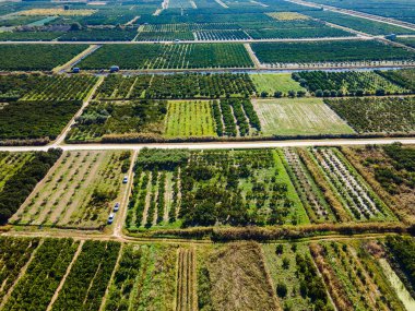 Hırvatistan 'ın güneyindeki verimli Neretva Vadisi' nin hava panoramik manzarası sulak bahçeler, kırsal yollar, kanal ağları ve açık yaz gökyüzü altındaki uzak sıradağları gösteriyor
