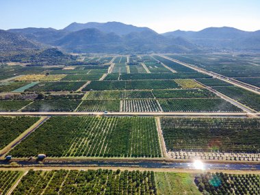 Hırvatistan 'ın güneyindeki verimli Neretva Vadisi' nin hava panoramik manzarası sulak bahçeler, kırsal yollar, kanal ağları ve açık yaz gökyüzü altındaki uzak sıradağları gösteriyor