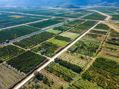 Hırvatistan 'ın güneyindeki verimli Neretva Vadisi' nin hava panoramik manzarası sulak bahçeler, kırsal yollar, kanal ağları ve açık yaz gökyüzü altındaki uzak sıradağları gösteriyor
