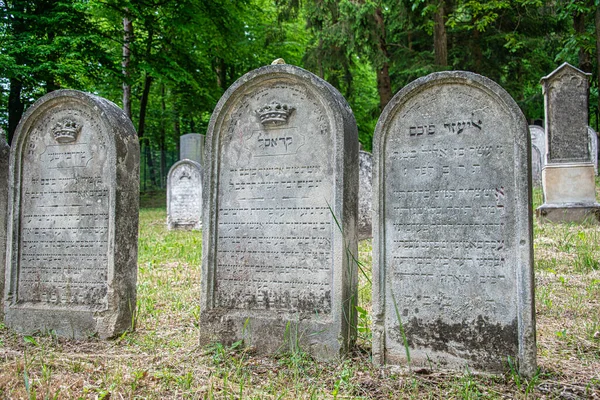 Židovské Náhrobky Historickém Židovském Hřbitově Lese Kobersdorfu — Stock fotografie