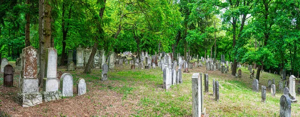 Židovské Náhrobky Historickém Židovském Hřbitově Lese Kobersdorfu — Stock fotografie
