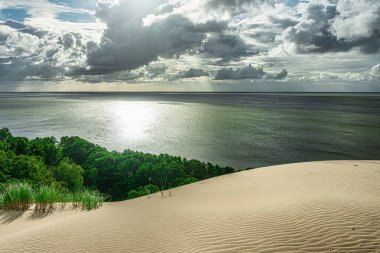 Nida, Neringa, Litvanya yakınlarındaki Curonian Spit 'te Gri Kumulların Panoramik Manzarası