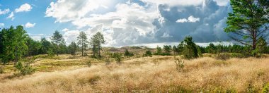 Nida, Neringa, Litvanya yakınlarındaki Curonian Spit 'te Gri Kumulların Panoramik Manzarası