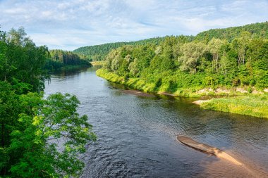 Letonya 'da geniş Gauja nehri olan kasvetli bir orman. Ormanda yağmur