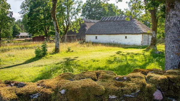 Hiiumaa Açık Hava Müzesi Mihkli Çiftliği Estonya Binaların Çoğu Yüzyılın — Stok fotoğraf