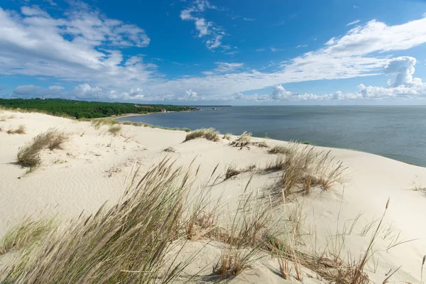 Kilátás Szürke Dunákra Curonian Spit Ben Nida Közelében Neringa Lithuania — Stock Fotó