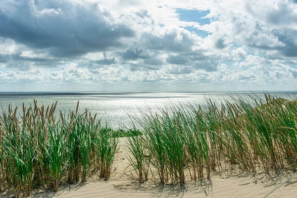 Panorama Van Duinen Nida Curonian Spit Curonian Lagoon Nida Klaipeda — Stockfoto