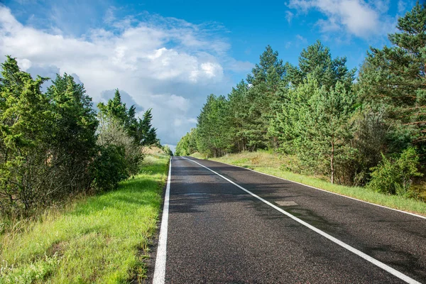 Curonian Tükürüğünün Ulusal Parkından Geçen Manzaralı Yol Letonya — Stok fotoğraf