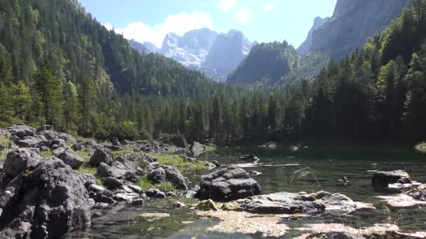 Slavné Jezero Gosau Salzkammergutu Dachsteinem — Stock video