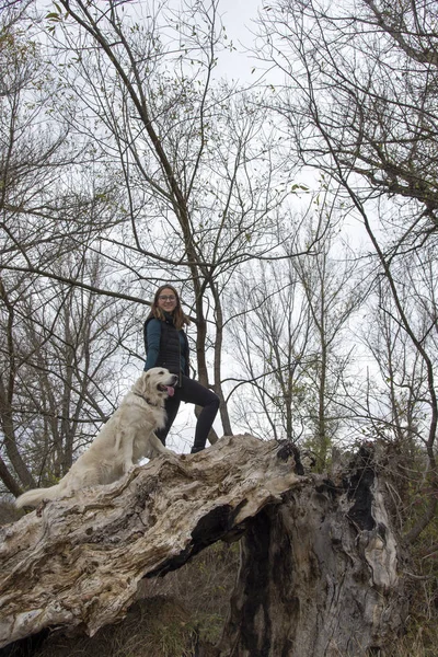 Женщина Собака Стоят Дереве — стоковое фото