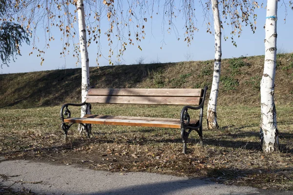 Höst Parken — Stockfoto