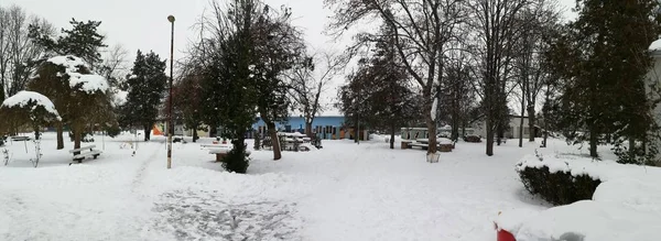 Park Winter — Stock Photo, Image
