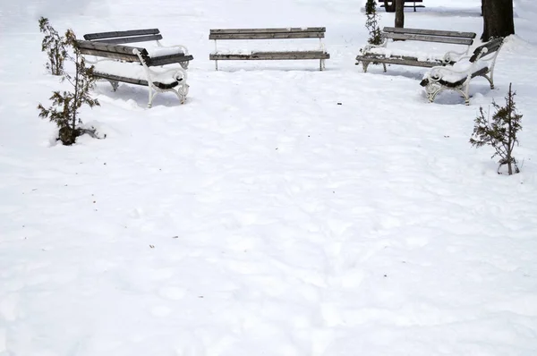 Bench in the snow background