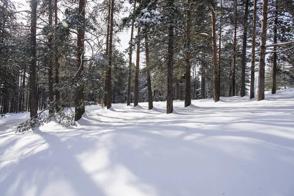Güzel kış gününde