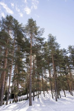 Pastoral kış günü dağ
