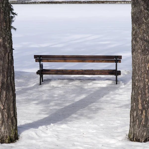 ベンチと森の中の雪 — ストック写真