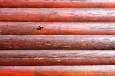 Arkaplan için ahşap doku