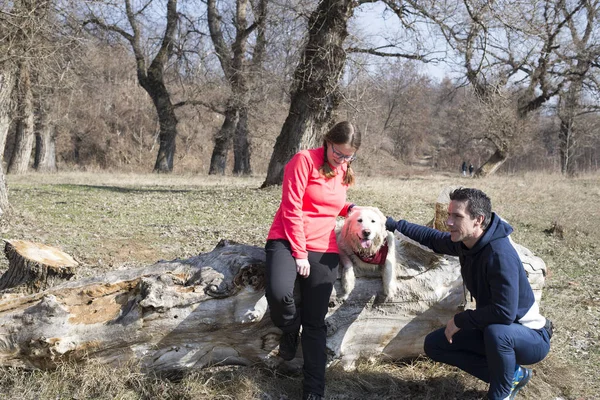 Erkek Kadın Ile Köpek — Stok fotoğraf