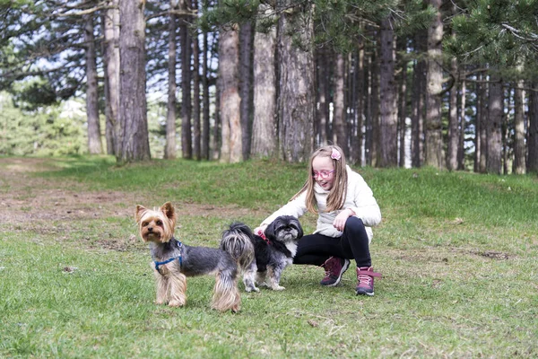 Parkta Köpeklerle Oynayan Kız — Stok fotoğraf