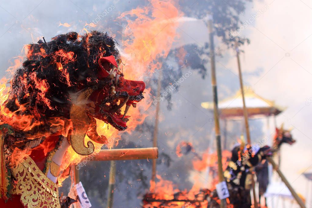 Tradition cremation ceremony, burning lion in Bali