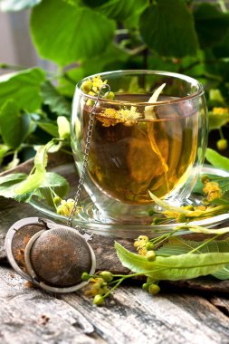 Bitkisel çay ıhlamur çiçek, seçici odak, sığ derinlik-in tarla