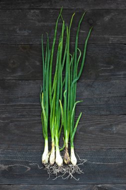 Koyu arka plan üzerinde taze yeşil soğan