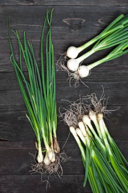 Ahşap arka plan üzerinde taze genç soğan yığını