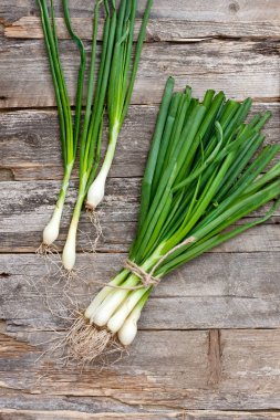 Yeşil soğan ya da yeşil soğan üzerinde ahşap masa, taze bahar frenk soğanı. Kırsal gıda arka plan