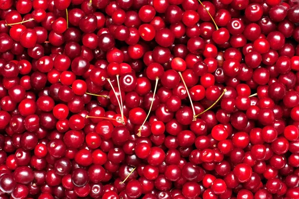 Natural Background Closeup Fresh Cherries Healthy Food Concept — Stock Photo, Image