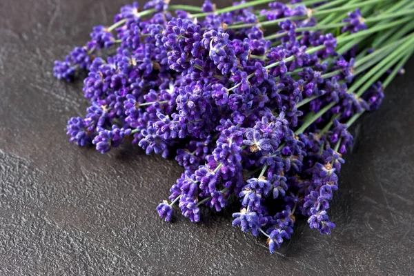 Verse Lavendel Bloemen Een Donkere Achtergrond Selectieve Aandacht Met Ondiepe — Stockfoto