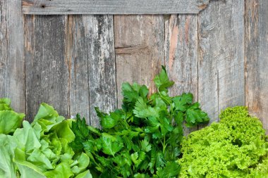 Bir grup sert ahşap yüzey üzerinde taze yeşil sebze. Sağlıklı gıda kavramı kopya alanı ile.