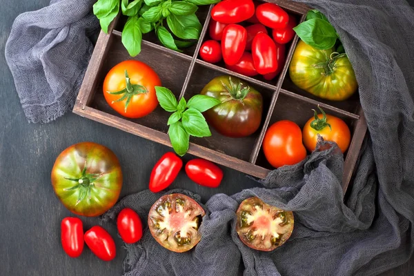 Tomates Coloridos Diferentes Tamanhos Folhas Manjericão Fresco Caixa Madeira Produto — Fotografia de Stock