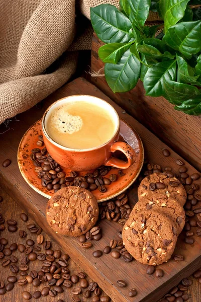 Biscuits Chocolat Tasse Café Aromatique Sur Table Bois — Photo