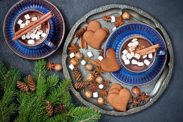 Taza con chocolate caliente y galletas de jengibre —  Fotos de Stock
