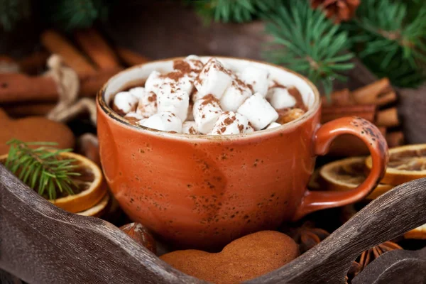 冬天喝热饮料 可可棉花糖和圣诞饼干 辣热巧克力 — 图库照片