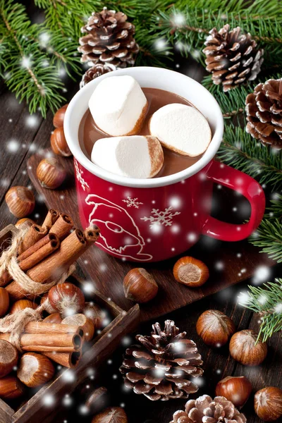 Heiße Schokolade Mit Zimtstangen Anis Nüssen Und Kakaopulver Auf Rustikalem — Stockfoto