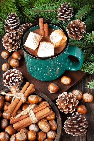 Eritilmiş Marshmallow Noel Tatili Için Baharat Ile Kremsi Sıcak Çikolata — Stok fotoğraf
