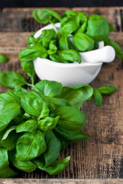 Ahşap board.Organic fesleğen closeup rustik ahşap tablo, vejetaryen yemek arka plan üzerinde beyaz harç fesleğen. 