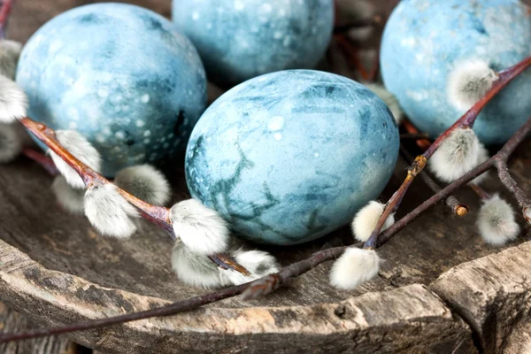 Easter Composition Eggs Spring Branches — Stock Photo, Image