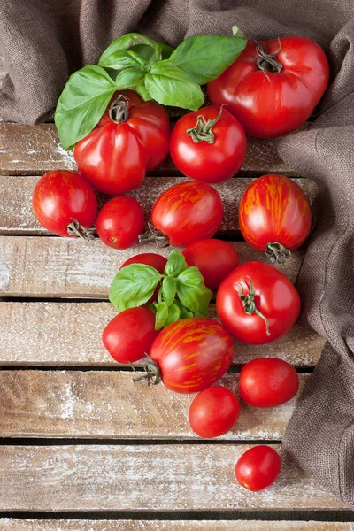 新鮮な色とりどりのおいしいトマト — ストック写真