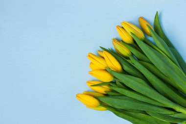 Bahar Lale çiçek demet. Dünya Kadınlar Günü, anneler günü veya doğum günü kavramı