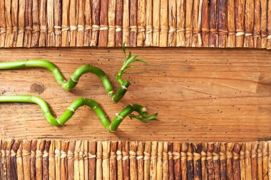 Bambu sapları düz yatıyordu kompozisyon