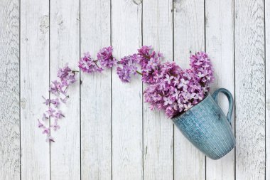 Renkli arka planda seramik bardak leylak çiçekleri